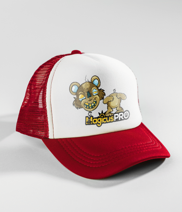 Gorro Ugly Bear